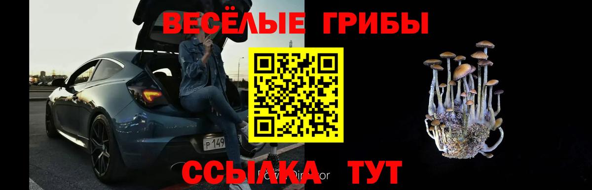 Удомля  Галлюциногенные грибы Psilocybe  Псилоцибиновые грибы Psilocybe  цены   Вход с VPN 
